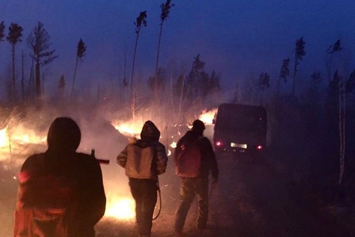 97,3 гектара леса горело в Иркутской области утром 3 июля