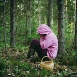 В Приангарье с мая в лесах заблудились 10 сборщиков дикоросов