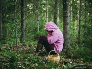 В Приангарье с мая в лесах заблудились 10 сборщиков дикоросов