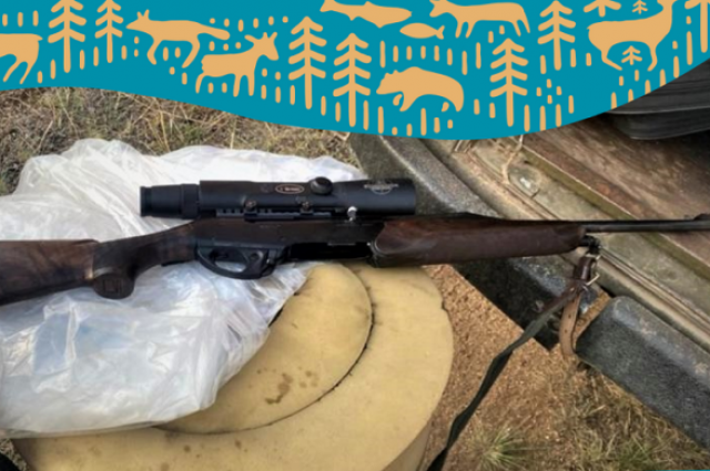 Четверо жителей Приангарья поехали в нацпарк с оружием «за черемшой»