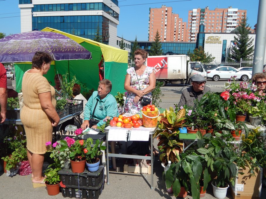 Выставка-ярмарка сельхозпродукции откроется в Иркутске 24 октября
