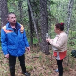 В мае и июне в лесах Иркутской области заблудились десять собирателей черемши