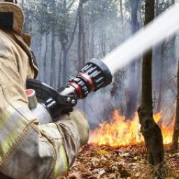В Иркутской области потушили лесные пожары на площади 21 тысяч га