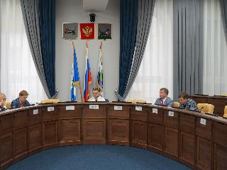 В Думе Иркутска одобрили передачу участков земли для возведения корпуса детской больницы