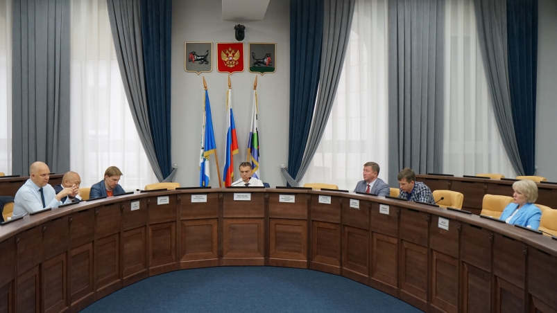 Депутаты Думы Иркутска поддержали передачу участков под корпус детской областной больницы