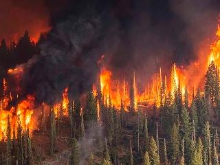 В Иркутской области действует три пожара на 6 июля