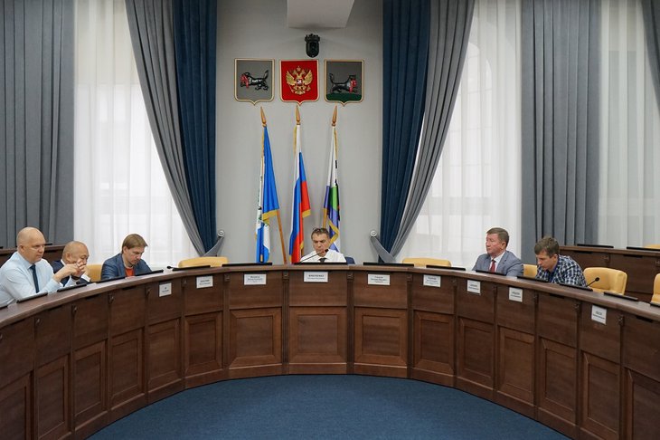 Депутаты думы Иркутска одобрили передачу участков региону для строительства корпуса детской больницы