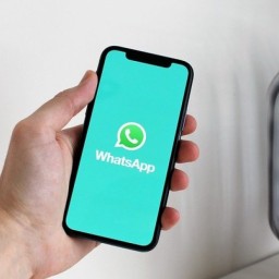 Удаление сообщений в течение ближайших 60 часов: информация от WhatsApp