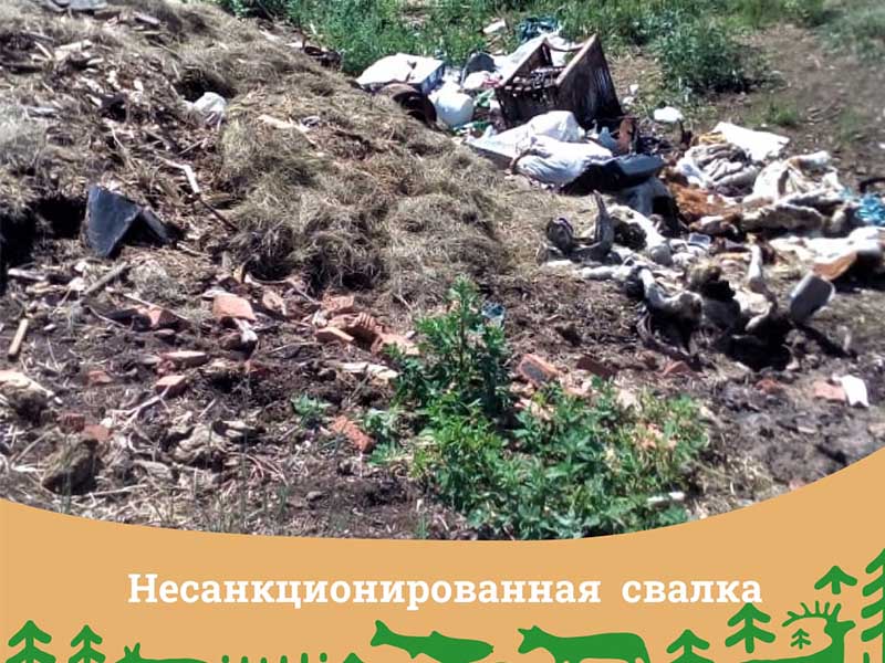 Незаконную свалку останков животных и бытовых отходов обнаружили на Ольхоне