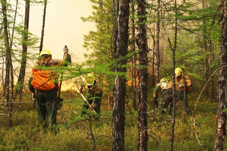 В Иркутской области действует три лесных пожара на площади 219 гектаров