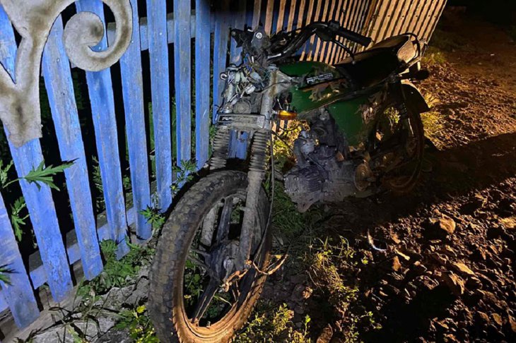 14-летний мотоциклист врезался в коня и перевернулся в Нукутском районе