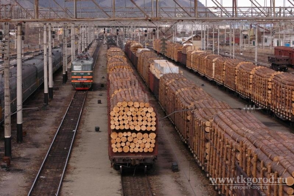 В Сети появилась петиция с требованием ввести 10-летний мораторий на экспорт необработанной древесины из Сибири