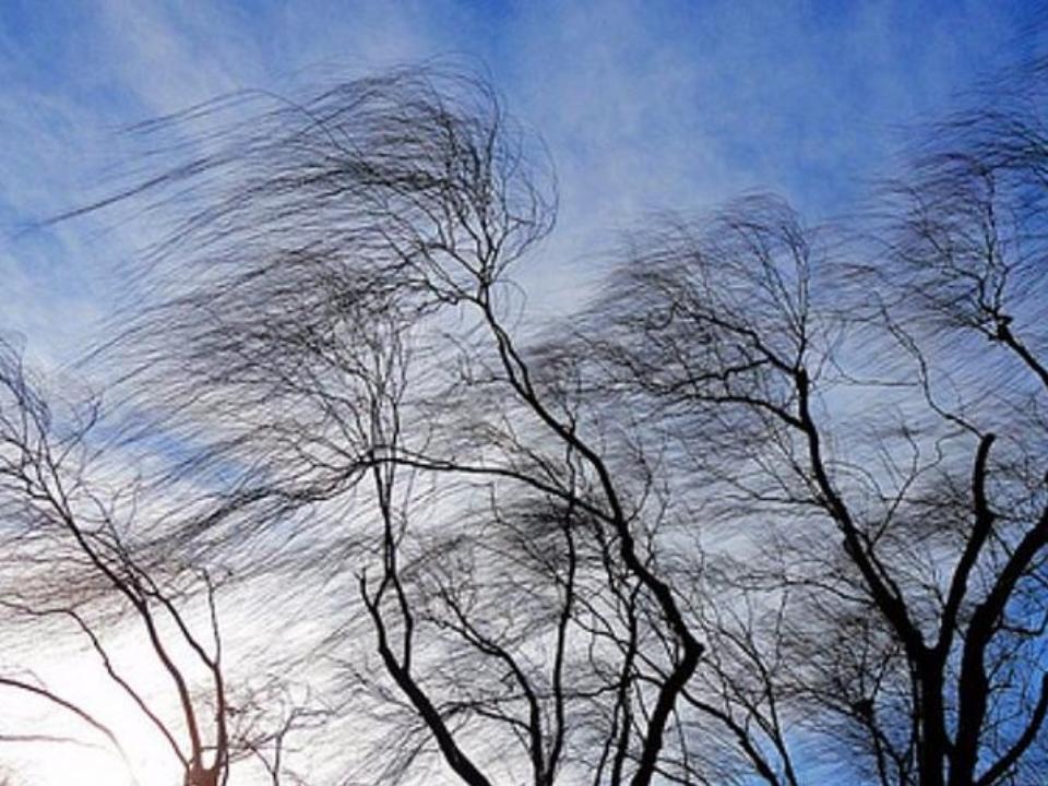 Усиление ветра ожидается в Иркутской области в среду