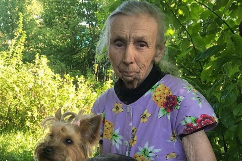 Пенсионерка ушла в лес за ягодами и грибами и пропала без вести в Иркутской области