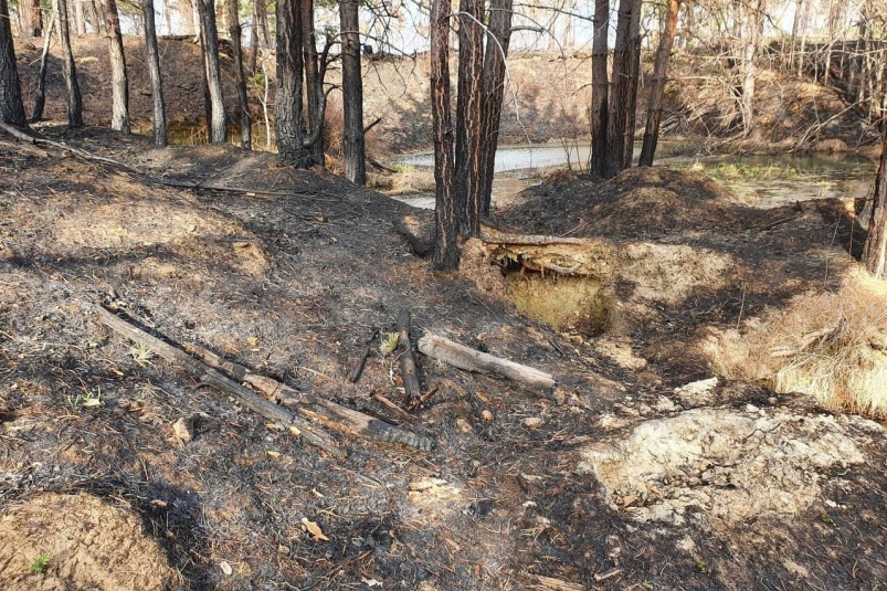 В Нижнеудинске осудили мужчину, устроившего пожар в лесу во время ОПР
