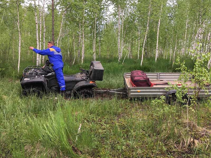 Спасатели разыскали заблудившихся сборщиц грибов в Шелеховском районе