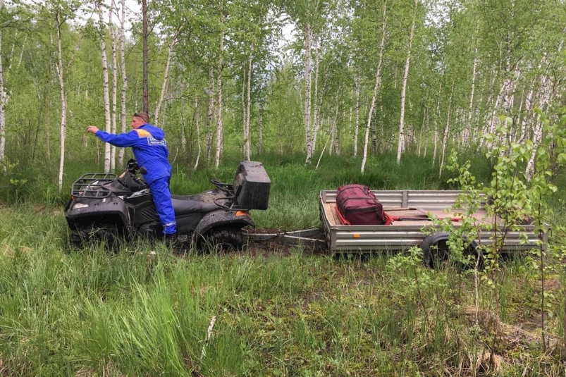 Спасатели эвакуировали двух пенсионерок, заблудившихся в лесу в Иркутской области
