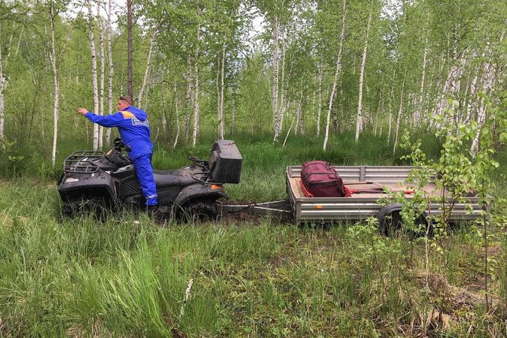 Спасатели нашли двух заблудившихся в лесу Шелеховского района пенсионерок
