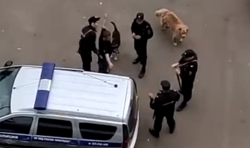 В Иркутске начата доследственная проверка по факту опубликования в соцсетях видео, на которых мужчина с топором на детской площадке кричит на подростков