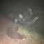 Водитель внедорожника погиб, сбив медведя и врезавшись в КамАЗ на трассе «Вилюй»