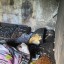 Четырех детей, двух женщин и собаку спасли на пожаре в пятиэтажке в Ангарске