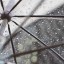 Небольшой дождь ожидается в Иркутске в субботу
