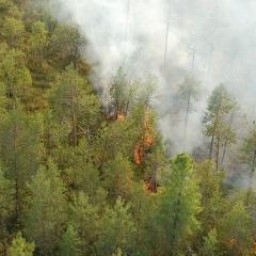 В Иркутской области тушат последний лесной пожар