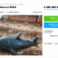 Житель Иркутска решил продать акулу из IKEA за 2,5 млн рублей