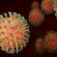 Статистика заболеваемости коронавирусом в Иркутской области на 6 августа