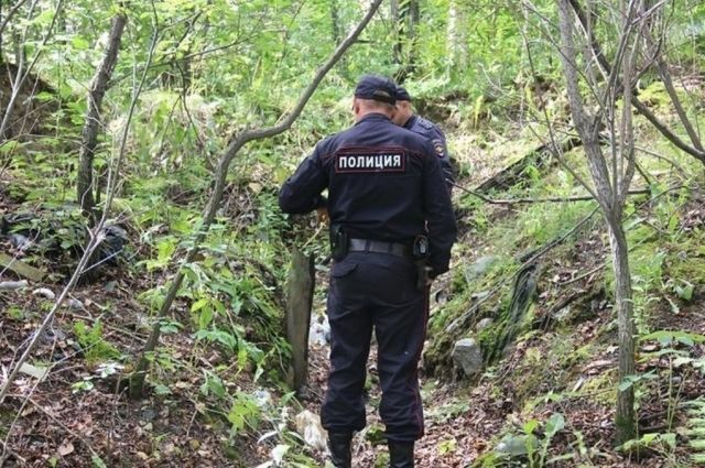 Двоих пропавших в выходные сборщиков грибов и ягод ищут в Иркутской области