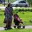 Родители более 7 тысяч детей Иркутской области получают пособие на ребенка до 1,5 лет