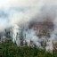 На севере Катангского района Иркутской области тушат последний лесной пожар