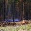 На утро 9 августа в Иркутской области новых лесных пожаров не зарегистрировано