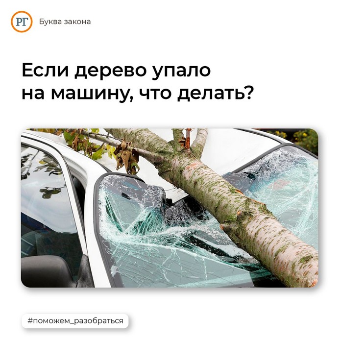 Что делать, если на машину упало дерево?
