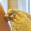 Раскрыта информация об использовании просроченных вакцин от коронавируса