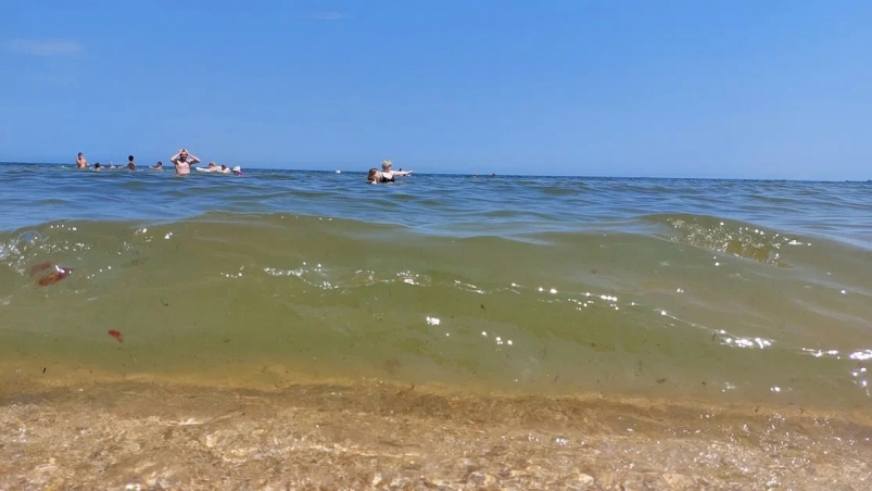 Айда на море – ТОП лучших песчаных и галечных пляжей на курортах Краснодарского края