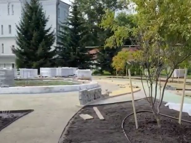 Более 40 новых видов деревьев, кустарников и трав высадят в парке Иркутской областной детской больницы