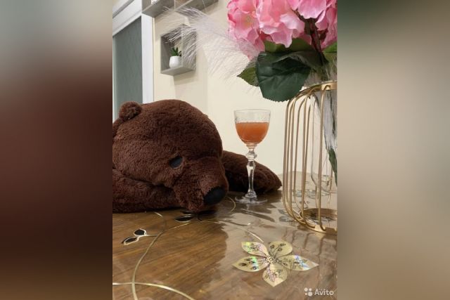 Иркутянин продает медведя из ИКЕА за 1 миллион 250 тысяч рублей