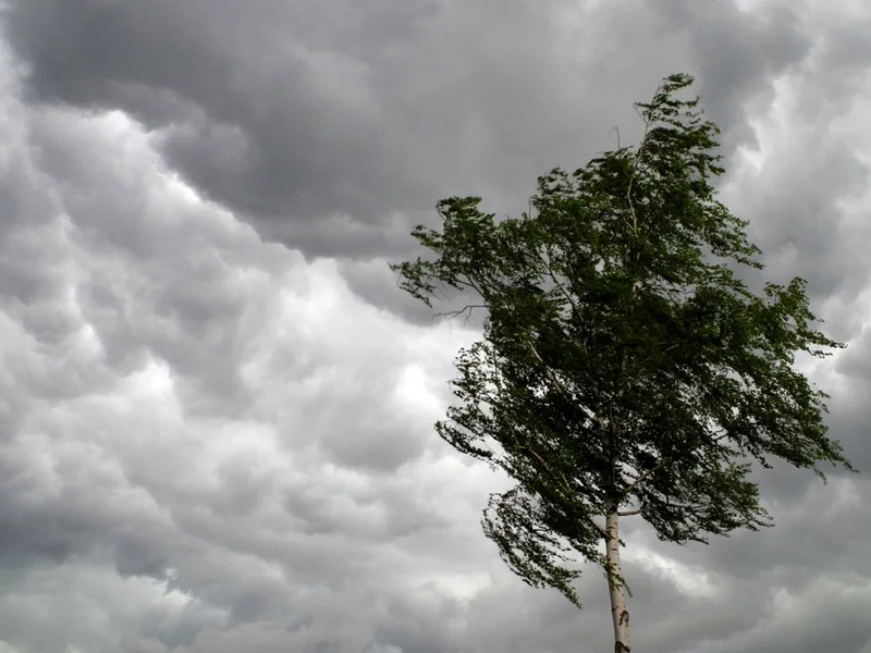 Погода испортится в Приангарье 16 августа