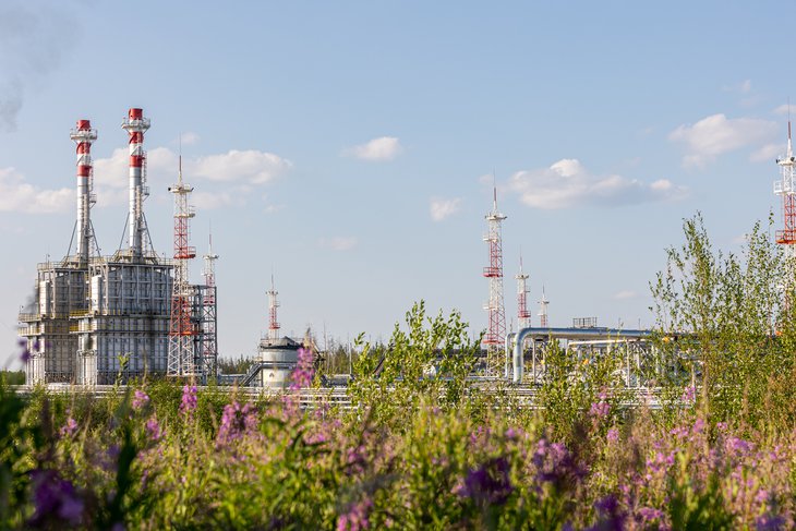 «Роснефть» инвестировала 530 миллионов рублей в природоохранные мероприятия в Иркутской области