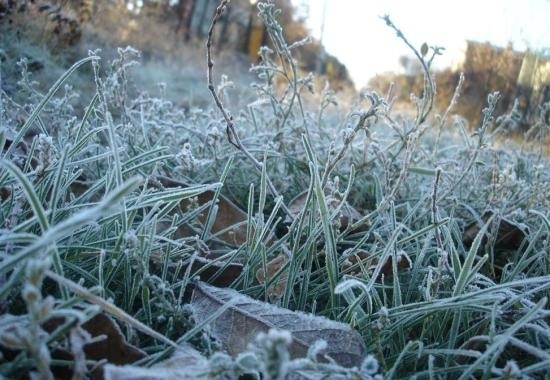 Заморозки до -3 градусов ожидаются в Иркутской области