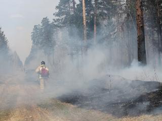 Иркутские пожарные тушат лесные пожары в Рязанской и Нижегородской областях