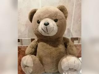 Иркутянин продает игрушку-медведя за 2 млн рублей