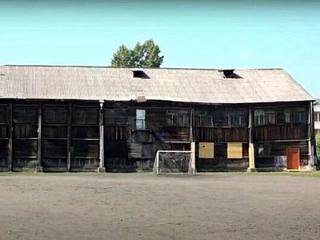 Школу №7 в Усть-Куте закрыли на дезинфекцию из-за блох
