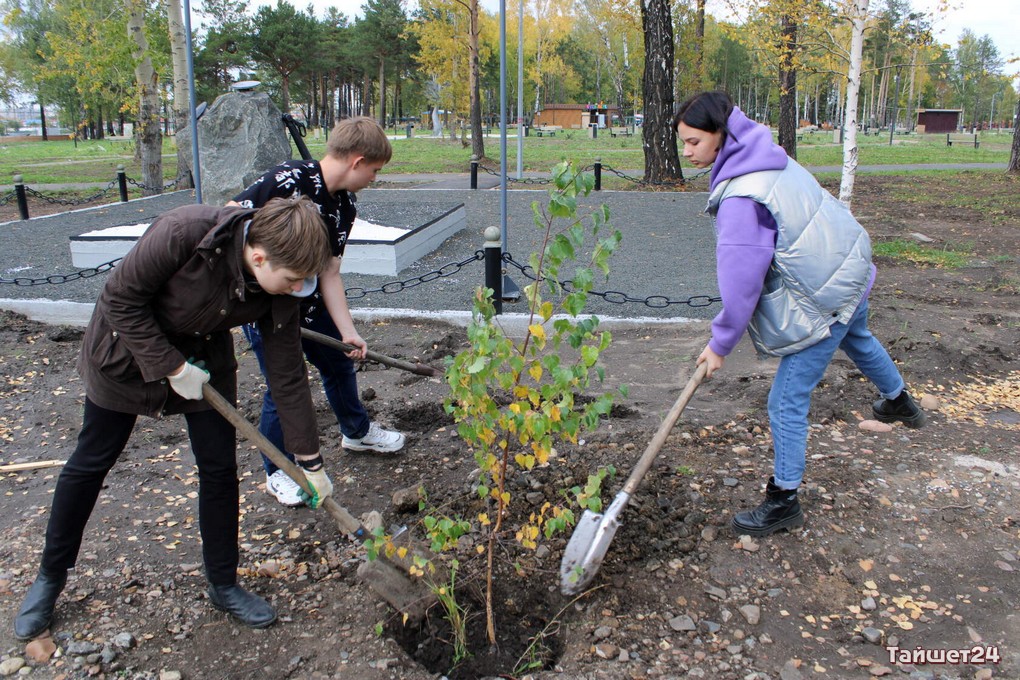 Ветераны-моряки и волонтёры высадили деревья в Тайшетском городском парке