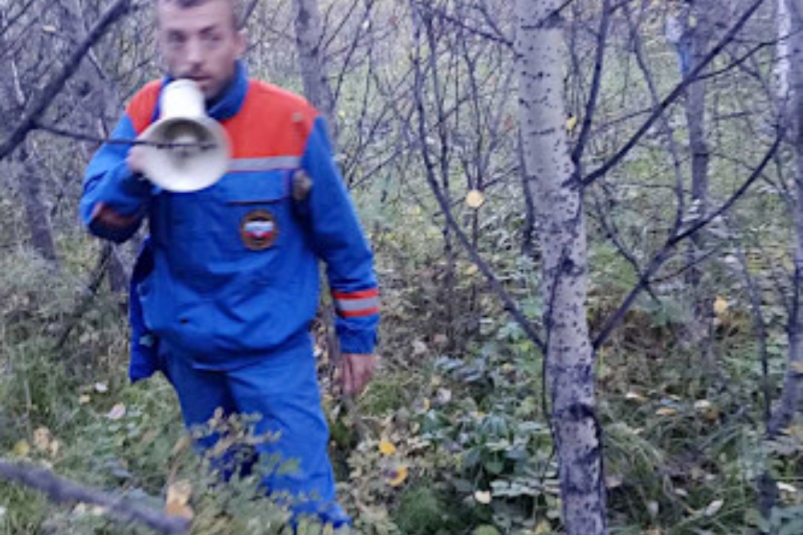 Трех заблудившихся в лесах сборщиков дикоросов разыскали живыми в Иркутской области