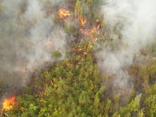 В Иркутской области селяне подожгли лес вместе с полем