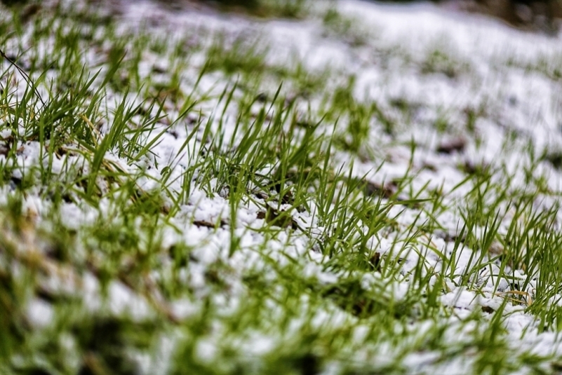 Мокрый снег и дождь прогнозируют в Иркутской области в ближайшие дни