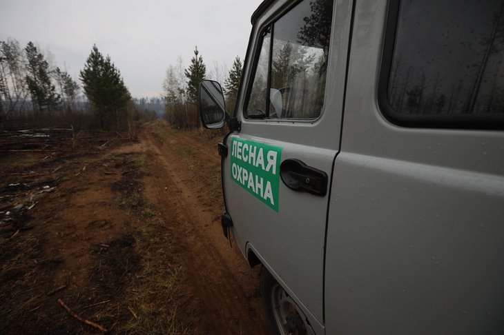 В Иркутской области обнаружили и потушили два лесных пожара за сутки