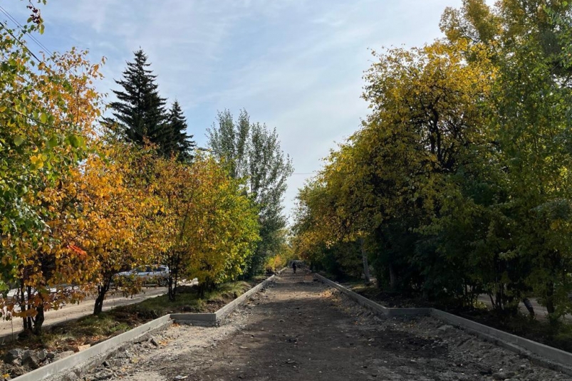 При ремонте улицы Бочкина в Иркутске приведут в порядок аллею и обустроят парковку